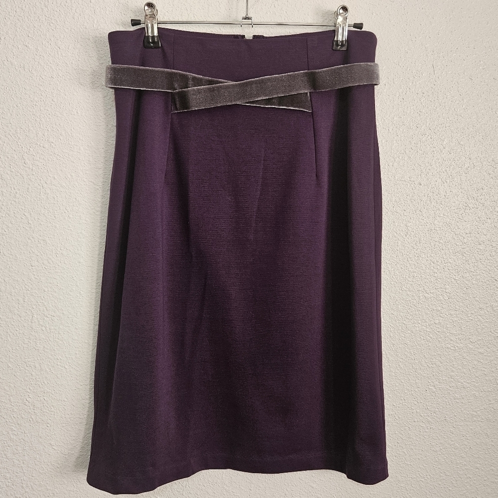 Anthropologie Girls From Savoy skirt with velvet like accents size 4